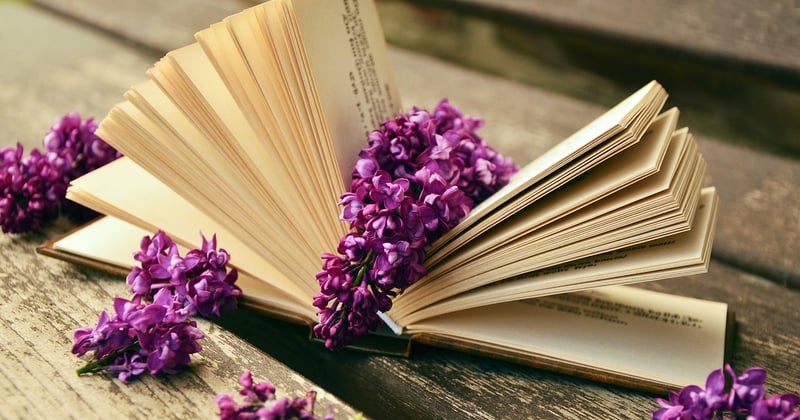Financer la publication d'un livre : subventions, crowdfunding et aides