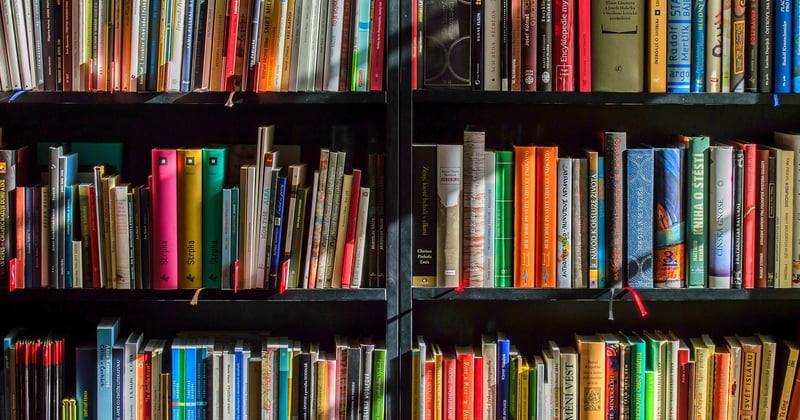 Investir dans une librairie indépendante : rentabilité et risques du secteur