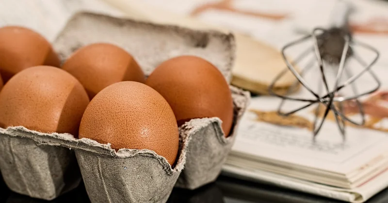 Les livres de chefs et de maisons historiques